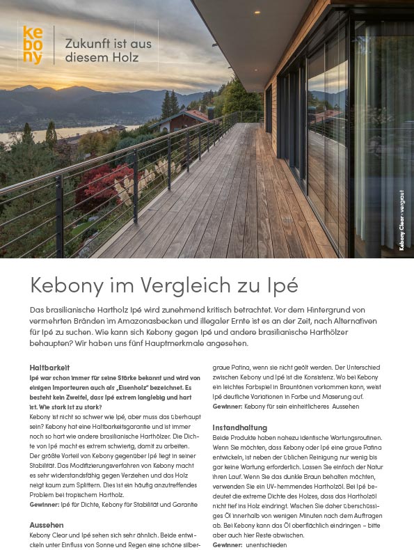 Titelblatt Flyer Kebony im Vergleich zu Ipè